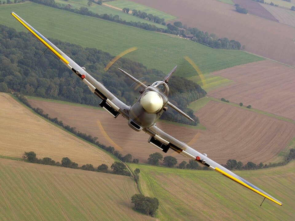 Spitfire (family)